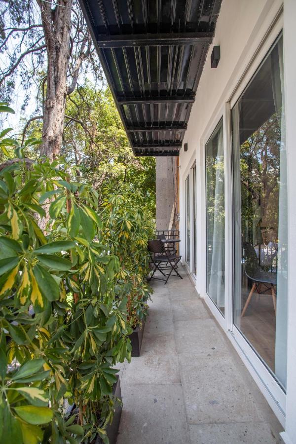 Apartment Bright & Sweet Unit In The Heart Of Polanco.